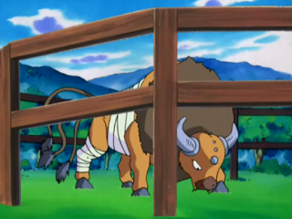 Fichier:AG011 - Tauros.png