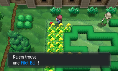 Fichier:Route 4 Filet Ball XY.png