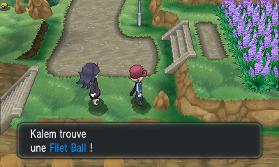 Fichier:Route 19 Filet Ball XY.png