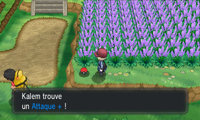 Fichier:Route 5 Attaque + XY.png