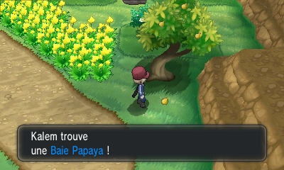 Fichier:Route 10 Baie Papaya XY.png