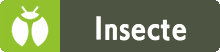 Fichier:Miniature Type Insecte HOME.png