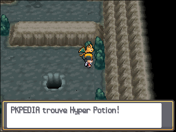Fichier:Route Victoire Hyper Potion HGSS.png