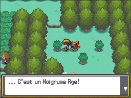 Fichier:Route 36 Noigrume Rouge HGSS.png