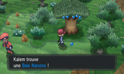 Fichier:Route 19 Baie Nanone XY.png