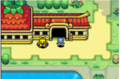 Le joueur (Carapuce) avec Makuhita dans Pokémon Donjon Mystère : Équipe de Secours Rouge et Bleue.