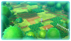 Route 1 (Kanto) LGPE.png