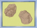 Un Fossile Griffe et un Fossile Racine dans l'épisode 376.