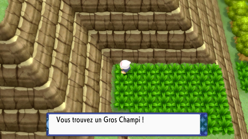 Fichier:Chenal 226 Gros Champi DEPS.png