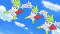 ► Shaymin ► (sauvages)