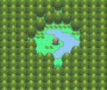 L'Île Pleine Lune dans Pokémon Diamant et Perle.