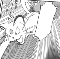 Persian Saki-PMS.png