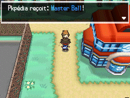 Fichier:Parsemille Master Ball N2B2.png