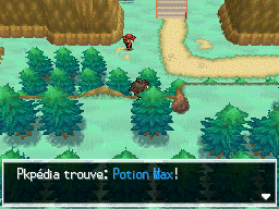 Fichier:Route 23 Potion Max N2B2.png