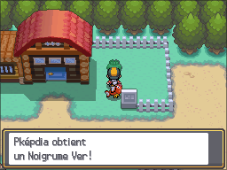 Route 39 Noigrume Vert HGSS.png
