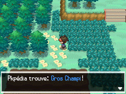 Fichier:Autel Abondance Gros Champi N2B2.png