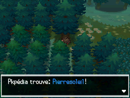 Fichier:Forêt d'Empoigne Pierresoleil N2B2.png