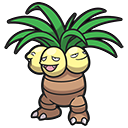 Noadkoko