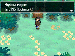 Fichier:Bois des Illusions CT95 N2B2.png