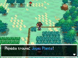Fichier:Bois des Illusions Joyau Plante N2B2.png