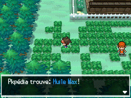 Fichier:Pont du Hameau Huile Max N2B2.png