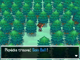Fichier:Route 16 Soin Ball N2B2.png