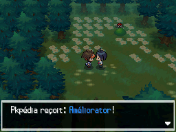 Fichier:Forêt d'Empoigne Améliorator N2B2.png
