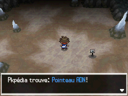 Fichier:Grotte Cyclopéenne Pointeau ADN N2B2.png