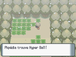 Fichier:Rive Lac Savoir Hyper Ball DP.png