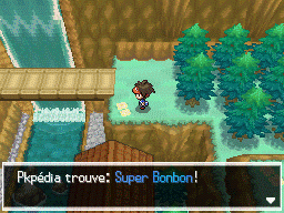 Fichier:Route 23 Super Bonbon N2B2.png