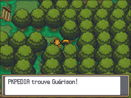 Forêt de Jade Guérison HGSS.png