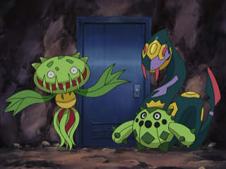 Fichier:DP013 - Vortente et Cacnea de James et Séviper de Jessie.png
