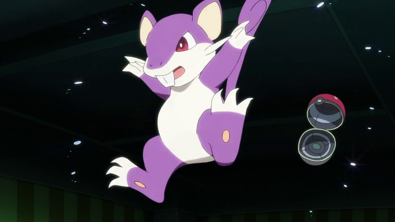 Fichier:Rattata de Red.png