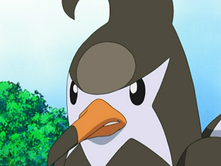 Fichier:DP037 - Étourvol de Sacha.png