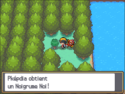 Fichier:Route 43 Noigrume Noire HGSS.png