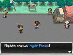 Fichier:Route 5 Hyper Potion 2 N2B2.png