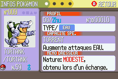 Cap ecran Torrent.png