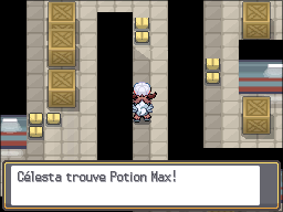 Fichier:Doublon-Tunnel Potion Max HGSS.png