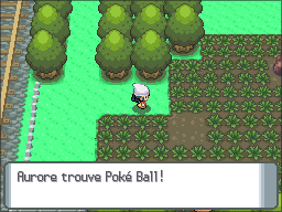 Fichier:Grand Marais Poké Ball DP.png