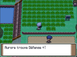 Fichier:Route 203 Défense + Pt.png