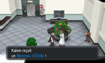 Fichier:Rue Septentrionale Morceau d'Étoile XY.png