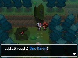 Objet Forêt d'Empoigne Baie Maron 2 NB.png