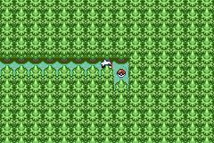 Route 123 Super Bonbon RS.png