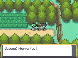 Fichier:Route 36 Pierre Feu HGSS.png