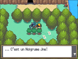 Fichier:Route 42 Noigrume Jaune HGSS.png