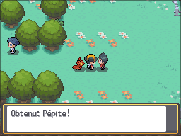 Route 25 Pépite HGSS.png