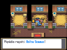 Route 39 Boîte Sceaux HGSS.png