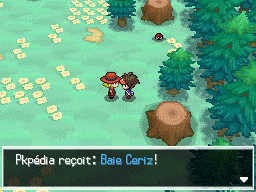 Fichier:Bois des Illusions Baie Ceriz N2B2.png