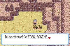 Fichier:Route 111 Foss. Racine RS.png
