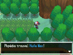 Route 7 (Unys) Huile Max NB.png